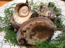 さざえ、あわび